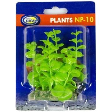Aqua Nova plastmasas augs 10cm