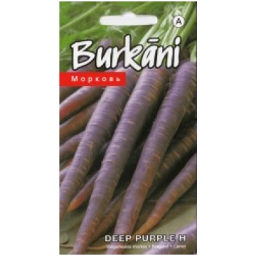 BURKĀNI DEEP PURPLE F1 KURZEMES