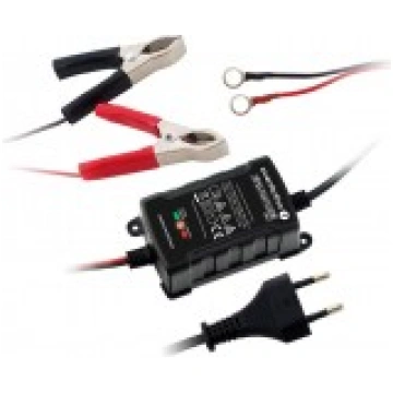 everActive CBC-1 v2 6V 12V 1000mA Lead Acid Gel AG