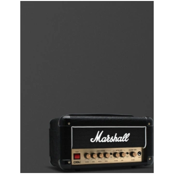DSL1 Head Marshall