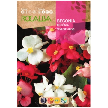 Sēklas Begonijas (leduspuķes) 0.1g 8423737090724
