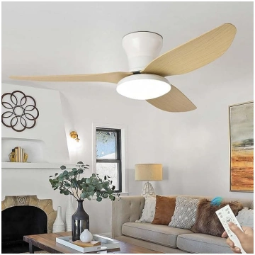 Liels griestu gaisma ar ventilatoru Dzīvojamā ista