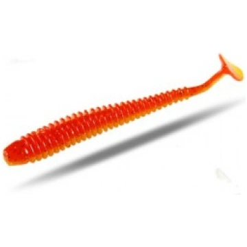 Bearking Loach 2.5" #D