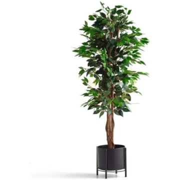 Lietots - Mākslīgo augu FICUS noma