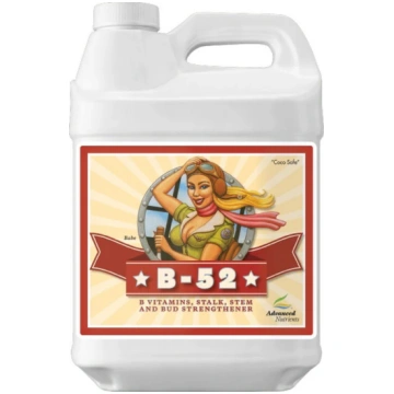 500 ml Amnesia.lt