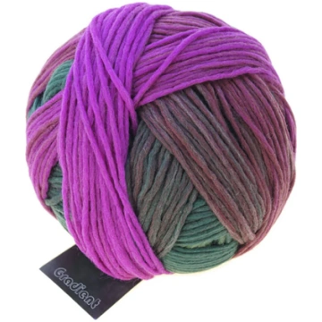 schoppel gradients - 2249 - tējas ceremonija