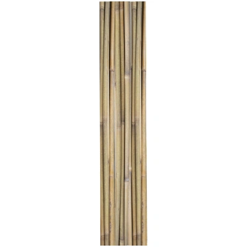 Bambusa spieķi DĀRZĀ H180cm 10gab/kompl. D12/14mm 