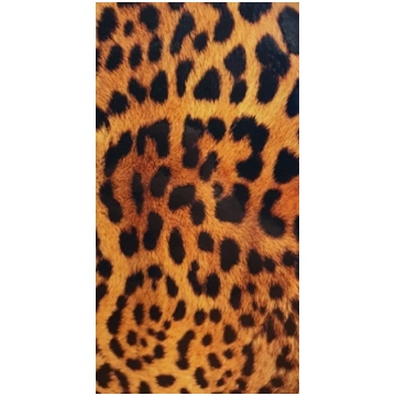 Evelatus Universal Leopard Colorful Film for Scree