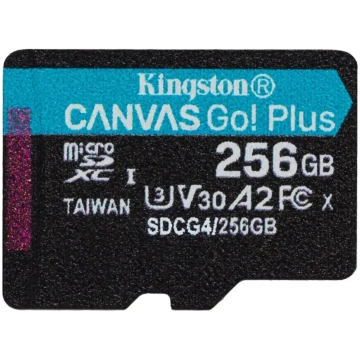 Kingston Canvas Go! Plus 256 GB microSD Flash memo