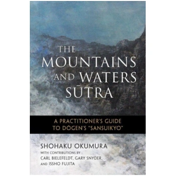Mountains and Waters Sutra: A Practitioner"s Guide
