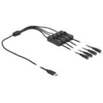 Delock - Netz-Splitter - USB-C (M) bis Gleichstrom