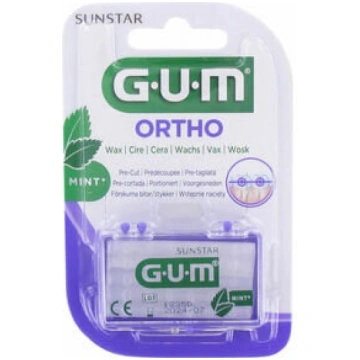 Vasks ar mentola garšu GUM