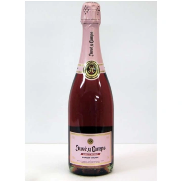 Juvé y Camps Rosé