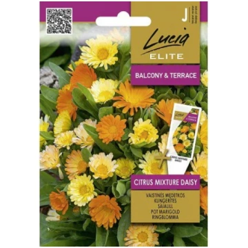 Zāļu kliņģerīšu sēklas CITRUS MIXTURE DAISY, 0,5 g