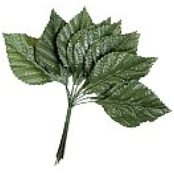 Rožu lapiņas auduma XL, 40x62 mm, dard green, 12 l