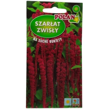 Amarants astainais Polan