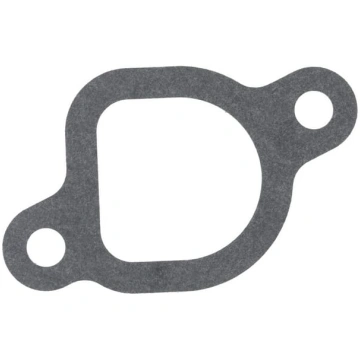 Loncin Karburatora blīve 1704301060001