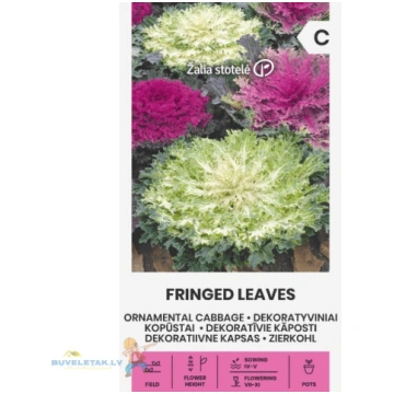 Sēklas kāposti dek. Fringed Leave 0.3g 34616