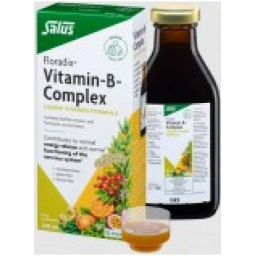 Floradix Vitamin-B-complex 250ml SALUS