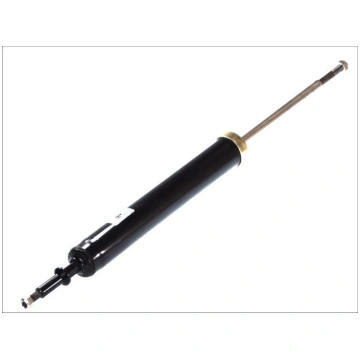 Amortizators MAGNUM TECHNOLOGY AGB064MT