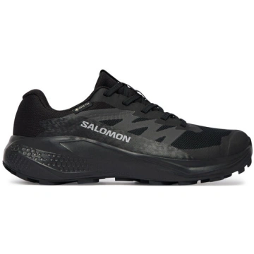 Salomon Skriešanas apavi Alphaglide Gtx W L4921440