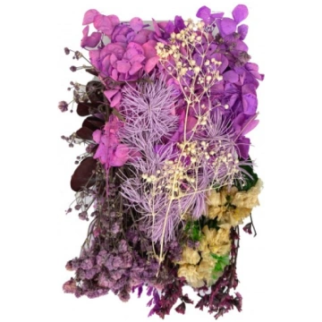 SAUSAS PUĶES | VIOLETĀ KRĀSA N2