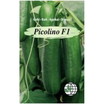 Agrimatco Sēklas gurķi silt.Picolino F1 5s