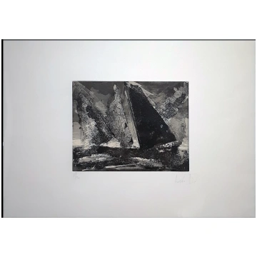 Angelo Ariti - Vele in libertà