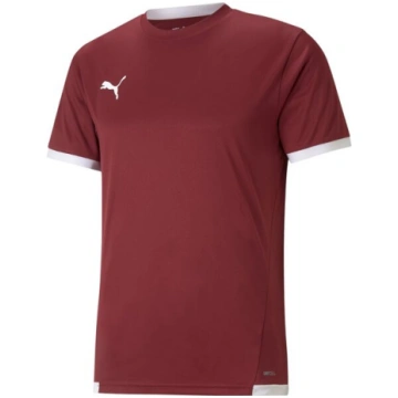Vīriešu krekliņš Puma teamLIGA Jersey bordo 704917