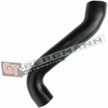 GT-BERGMANN GT52-656