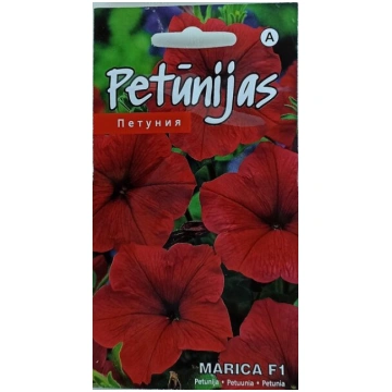 Petūnijas Marica F1 Kurzemes sēklas