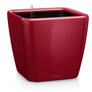 LECHUZA Quadro Premium 43 Scarlet Red, 16187