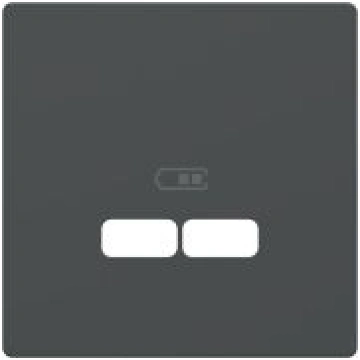 Centralplate 2-vietīga USB antracīts SysD MTN4367-