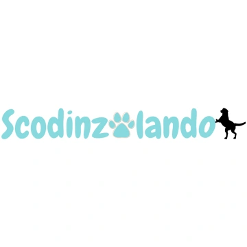 PLASTECNIC SIRINGA 25 ML GUARNIZIONE Scodinzolando