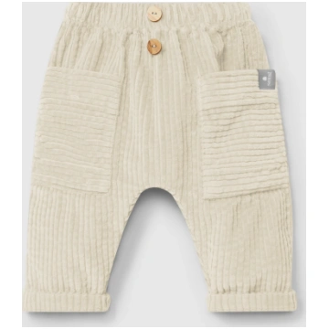 Pantaloni pull-up in velluto a coste 100% cotone b