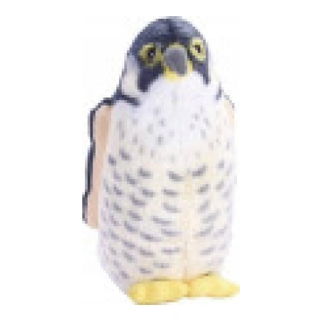 Fremeaux Wild Republic Birds ar Sound Peregrine Fa