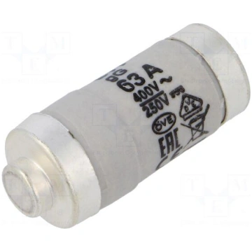 Fuse: fuse | gG,gL | 63A | 400VAC | 250V | industr