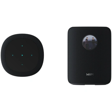 WiiM Wiim Sound smart speaker, black | WiiMsoundB 