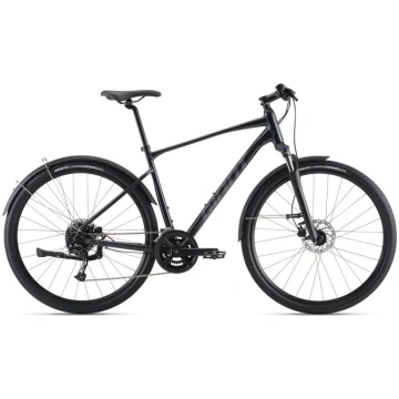 Velosipēds Giant Roam EX, kokogles