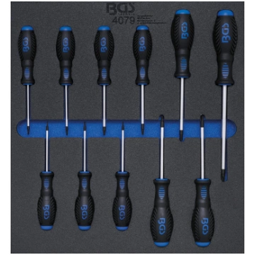TOOL TRAY 2/3: SCREWDRIVER SET | T-STAR (FOR TORX)