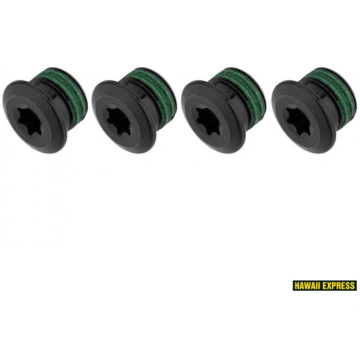CHAINRING BOLT KIT 4X1 M10X0.75 T30 E-BIKE BOSCH/F