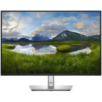 DELL Pro Plus P2425 datora monitors 61.1 cm (24.1 