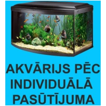 Akvārijs pēc individuālā pasūtījuma - Izgatavosim 