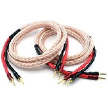 TAGA HARMONY Platinium-18- 2.5