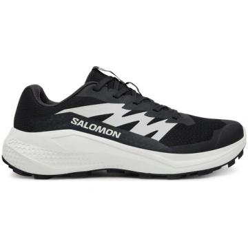 Salomon Skriešanas apavi Alphaglide L47801500 Meln