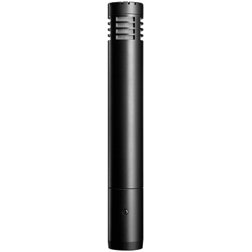 Audio-Technica AT2031 Cardioid Condenser Microphon