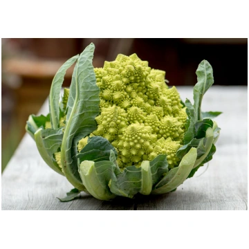 Ziedkāposti ROMANESCO 250 sēklas