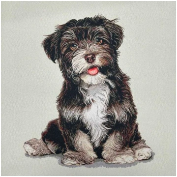 Pannello Suede Piccolo Cane Leone 45x45 Cm