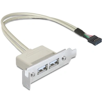 Adapteris Delock Bracket USB 9pin to USB x2 USB, U