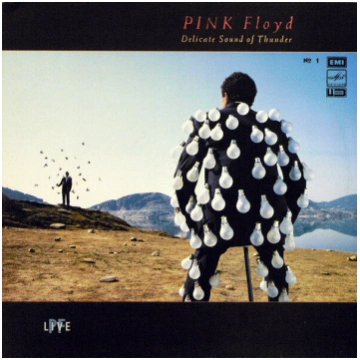 Lietots - Pink Floyd - Delicate Sound Of Thunder №